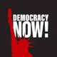 Democracy Now! artwork