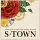 S-Town artwork