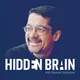 Hidden Brain artwork