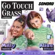 Go Touch Grass artwork