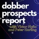 Dobber Prospects Report artwork