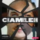 Chameleon artwork