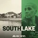 Southlake artwork