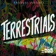 Terrestrials artwork