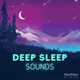 Deep Sleep Sounds artwork