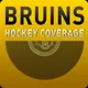 Boston Bruins Hockey artwork
