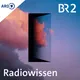Radiowissen artwork