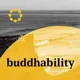 Buddhability artwork
