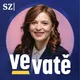 Ve vatě artwork