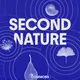 Second Nature artwork