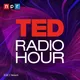 TED Radio Hour artwork