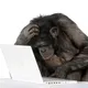 Ciberseguridad para humanos artwork