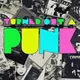 Turned Out A Punk artwork