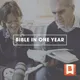 Bible in One Year artwork