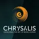 Unpacking Chrysalis: The Art of Being Human artwork