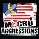 Macroaggressions artwork