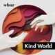 Kind World artwork