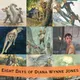 Eight Days of Diana Wynne Jones artwork