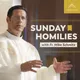 Sunday Homilies with Fr. Mike Schmitz artwork