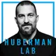 Huberman Lab artwork