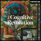 "The Cognitive Revolution" | AI Builders, Researchers, and Live Player Analysis artwork