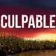 Culpable artwork