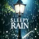 Sleepy Rain artwork