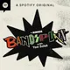 Bandsplain artwork
