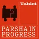 Parsha in Progress artwork