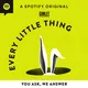 Every Little Thing artwork