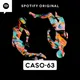 Caso 63 artwork