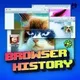 Browser History - Die legendärsten Momente der Internetgeschichte artwork