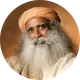 Sadhguru Français artwork
