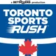 Toronto Sports Rush artwork