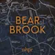 Bear Brook artwork
