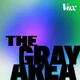 The Gray Area with Sean Illing artwork