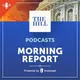 Morning Report artwork