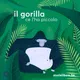 Il gorilla ce l'ha piccolo artwork