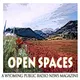 Open Spaces artwork