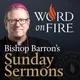 Bishop Barron’s Sunday Sermons - Catholic Preaching and Homilies artwork