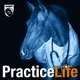 AAEP Practice Life artwork