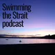 Swimming The Strait artwork