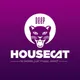 Deep House Cat artwork