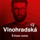 Vinohradská 12 artwork