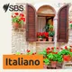 SBS Italian - SBS in Italiano artwork