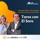 Toros con el Soro artwork