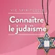 Connaître le judaïsme artwork
