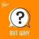 But Why: A Podcast for Curious Kids artwork