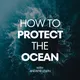 How To Protect The Ocean artwork