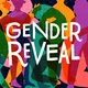 Gender Reveal artwork